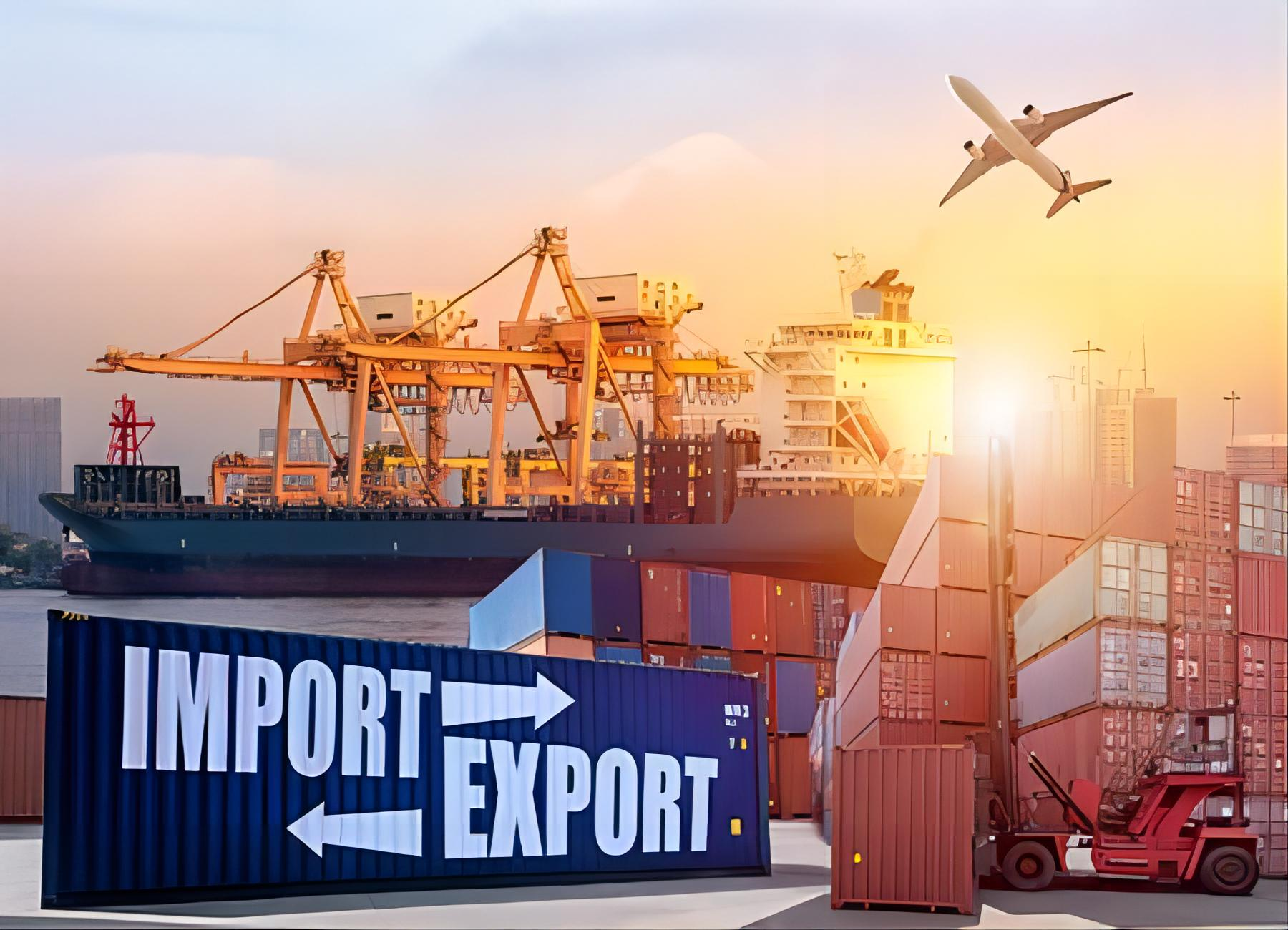 Logistics professional reviewing customs documentation for USA to Canada shipping
